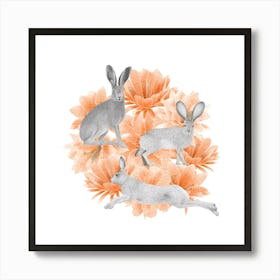 Mojave Desert Jackrabbit Art Print