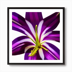 Purple Lily - Purple Lily Stock Videos & Royalty-Free Footage Art Print