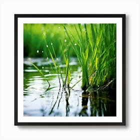 Grass Plant Reed Green Background Nature Closeup Garden Flora Growth Leaf Summer Spring (3) Art Print