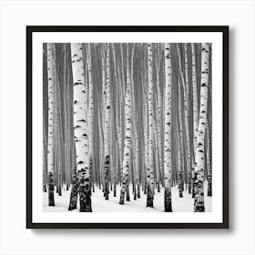 Birch Trees In Winter Art Print