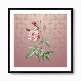 Vintage Common Rose of India Botanical on Dusty Pink Pattern n.0456 Art Print