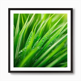 Green Grass With Water Droplets 2 Art Print