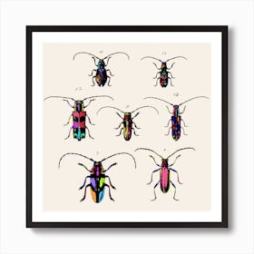 Insects Art Print