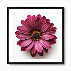 Purple Daisy Art Print