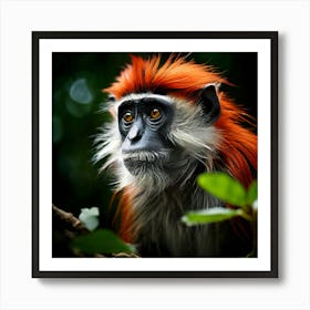 Watercolor Zanzibar Red Colobus Studio Photography Complex Details High Detail Art Print