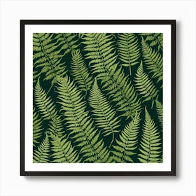 Fern Leaves 12 Art Print