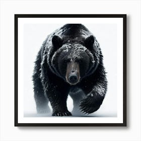 Black Bear Art Print