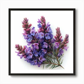 Lavender Flower 1 Póster