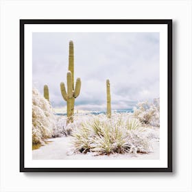 Blanket Of Snow In Desert Art Print