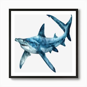 Tiger Shark Art Print