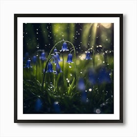 Raindrops on a Bower of Bluebell Woodland Flowers Art Print