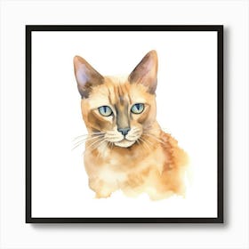 Burmese Champagne Cat Portrait 2 Art Print