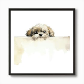 Shih Tzu Dog 3 Art Print