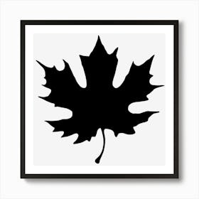 Autumn Maple Leaf Art Print