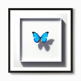 Blue Butterfly In A White Frame Art Print