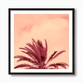 Half Palm Tree Nature Square Photo Beige Coral Terracotta Vintage Retro Art Print