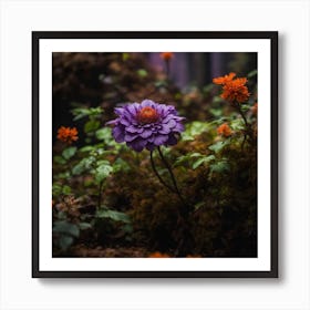 Purple Dahlia Art Print