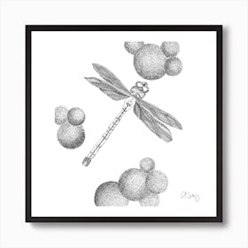 Black And White Dragonfly. 1 Art Print