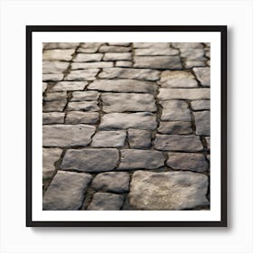 Cobblestone Road 8 Art Print