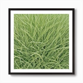 Green Grass 18 Art Print