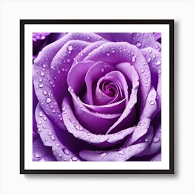 Purple Roses With Water Droplets Art Print