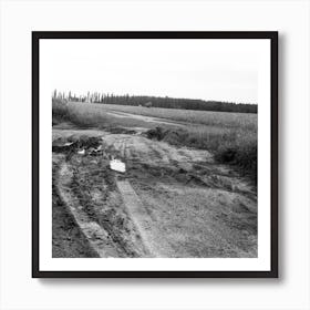 Black And White Dirt Road Rural Photo art photography nature landscape square living room office Art Print