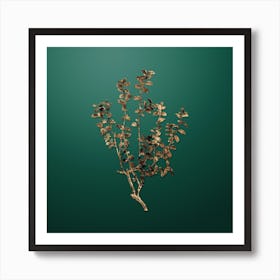 Gold Botanical Cape Myrtle on Dark Spring Green Art Print