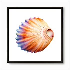 Sea Shell Isolated On White Background 3 Art Print