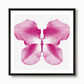 Pink Rose Petal Butterfly Art Print