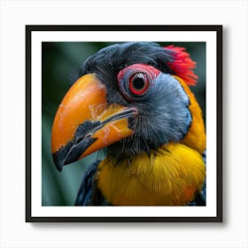 Colorful Toucan 1 Art Print