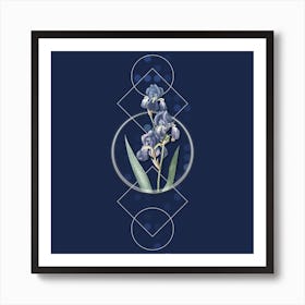 Vintage Dalmatian Iris Botanical with Geometric Line Motif and Dot Pattern n.0419 Art Print