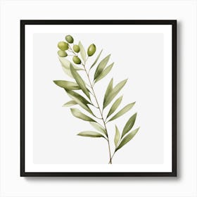 Olive Branch 1 Art Print