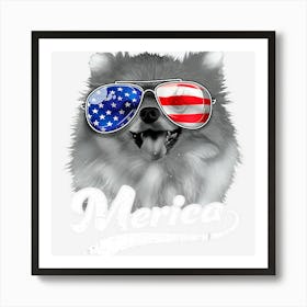 Limited Edition Merica Pomeranian Usa American Flag Sunglasses Art Print