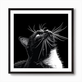 Black And White Cat Looking Up Art Print