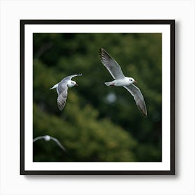 Gulls In Flight Art Print