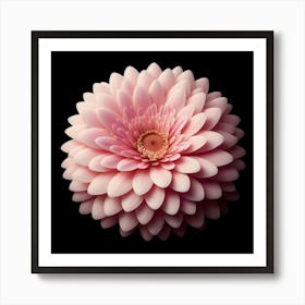 A beautiful, delicate, and vibrant pink gerbera flower in full bloom against a black background, with petals that are soft and velvety to the touch, and a center that is a deep, rich pink, with a light yellow stamen, and a green calyx that is covered in tiny, sharp thorns. Art Print