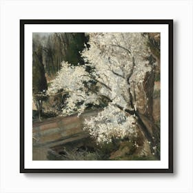 Blossoming Cherry Tree 1 Art Print