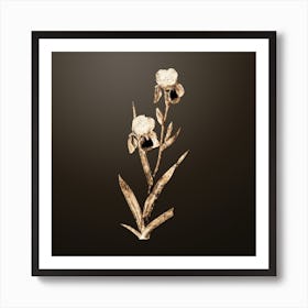 Gold Botanical Elder Scented Iris on Chocolate Brown n.0659 Art Print