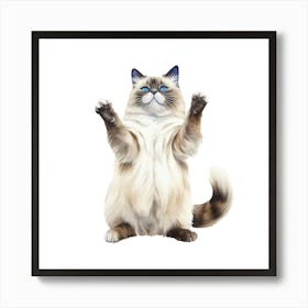 Kitty Cat 1 Art Print