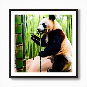 Panda Bear In Bamboo Forest 3 Art Print