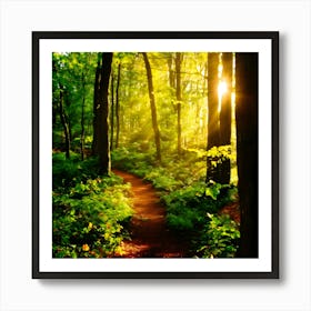 Path In The Woods 1 Art Print