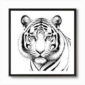 Tiger art print Póster