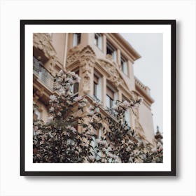 Pink Flowers And The Mansion St Sebastian, Spain Square Art Print