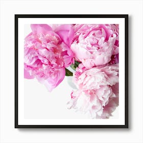 Pink Peonies 3 Art Print