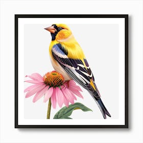 Goldfinch Art Print