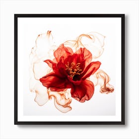 Red Peony Flower Art Print