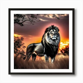 Lion At Sunset 21 Art Print