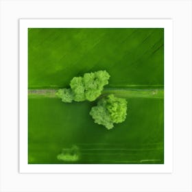 Plant Texture Green Nature Field Summer Crop Natural Environment Spring Grass Turf Folia (2) Art Print