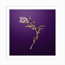 Gold Botanical Jujube on Royal Purple n.3536 Art Print