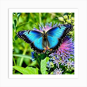 Blue Butterfly 1 Art Print